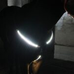 A&K L’YDIA LED Horse Breastplate Collar-USB Rechargeable, 3 Lighting Modes Adjustable Reflective Elastic Night Flashing Light Bar Harness for Equestrian Show (Black-White)