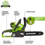 Greenworks 40V 12″ Cordless Compact Chainsaw (Great For Storm Clean-Up, Pruning, and Camping), 2.0Ah Battery and Charger Included