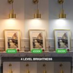 NIORSUN Battery Operated Wall Sconce Set of 2, Gold Wireless Rechargeable Wall Lights with 5200mAh Dimmable Detachable Bulbs and Remote, 9 Colors Sconces Wall Decor for Bedroom Living Room Hallway