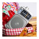 Panasonic Portable AM / FM Radio, Battery Operated Analog Radio, AC Powered, Silver (RF-2400D)