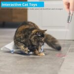 Cat Toy, 2 Pieces USB Rechargeable, Long Range 5 Modes, Interactive Kitten Toy for Indoor Cat and Dog