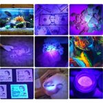 DARKBEAM UV 395nm Flashlight USB Rechargeable, Wood’s lamp Black Light, Handheld Ultraviolet LED Portable with Clip, Resin Curing/Spot Scorpions/Fluorescer/Detector for Pet Dog Urine
